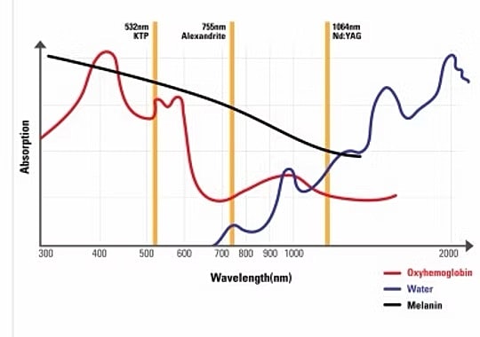 Laser wavelength absorption graph for skin components.